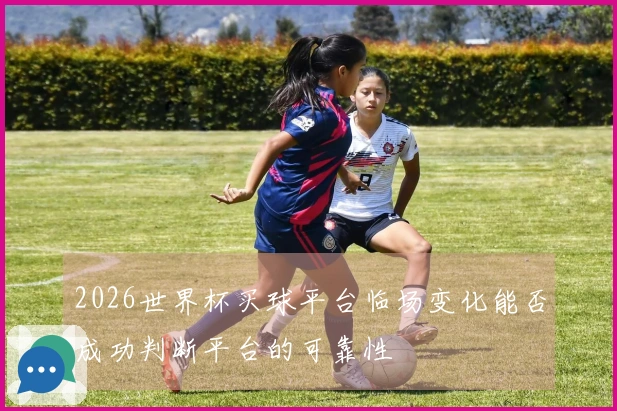 2026世界杯买球平台临场变化能否成功判断平台的可靠性