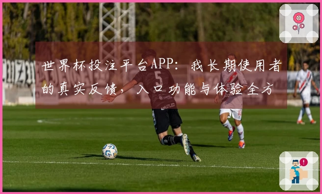 世界杯投注平台APP：我长期使用者的真实反馈，入口功能与体验全方位评测