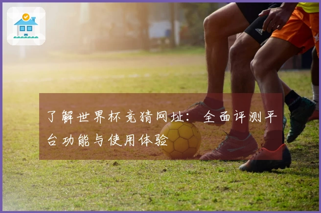 了解世界杯竞猜网址：全面评测平台功能与使用体验