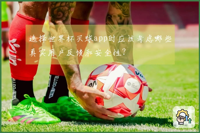 选择世界杯买球app时应该考虑哪些真实用户反馈和安全性？