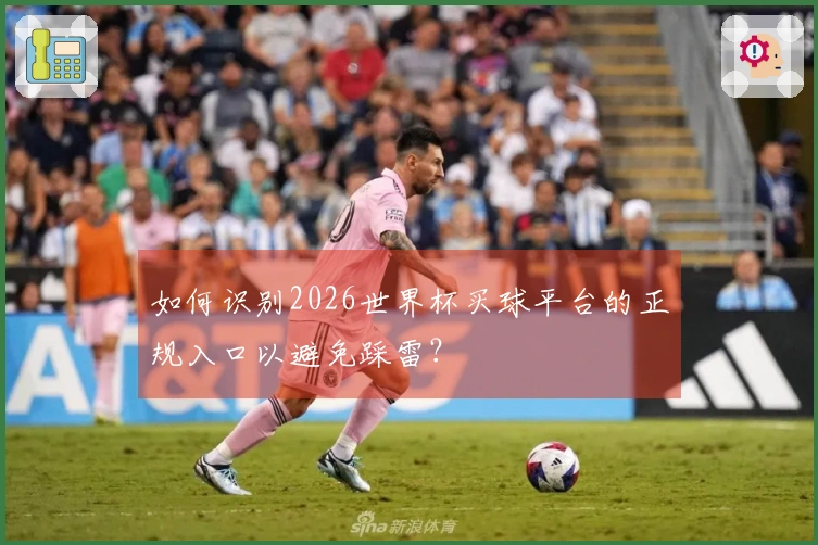 如何识别2026世界杯买球平台的正规入口以避免踩雷？
