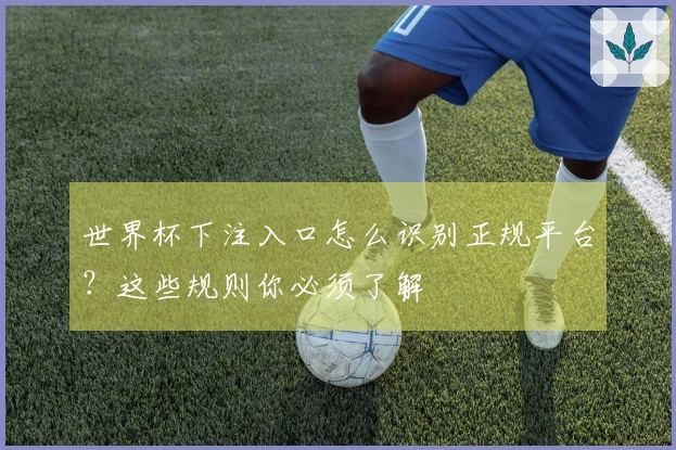 世界杯下注入口怎么识别正规平台？这些规则你必须了解