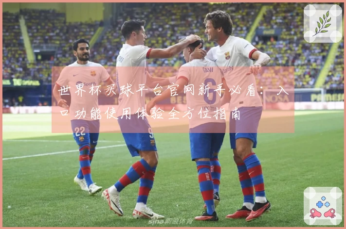世界杯买球平台官网新手必看：入口功能使用体验全方位指南