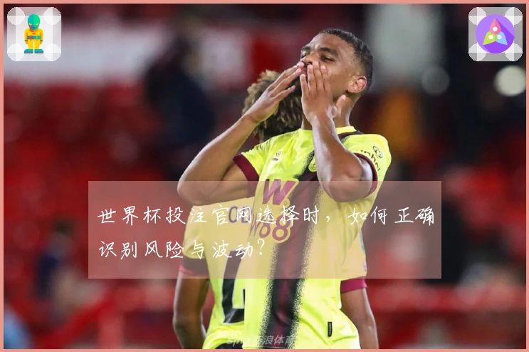 世界杯投注官网选择时，如何正确识别风险与波动？