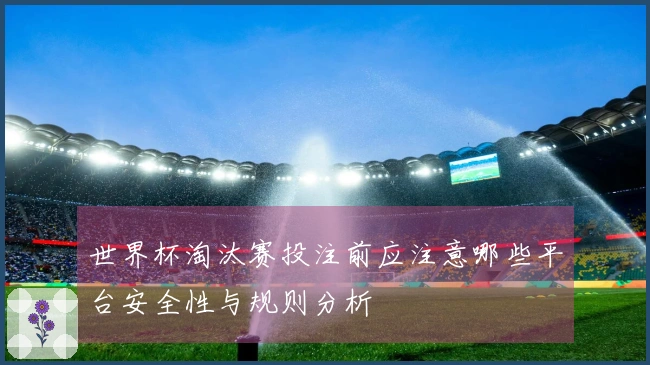 世界杯淘汰赛投注前应注意哪些平台安全性与规则分析
