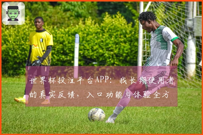 世界杯投注平台APP:我长期使用者的真实反馈,入口功能与体验全方位评测