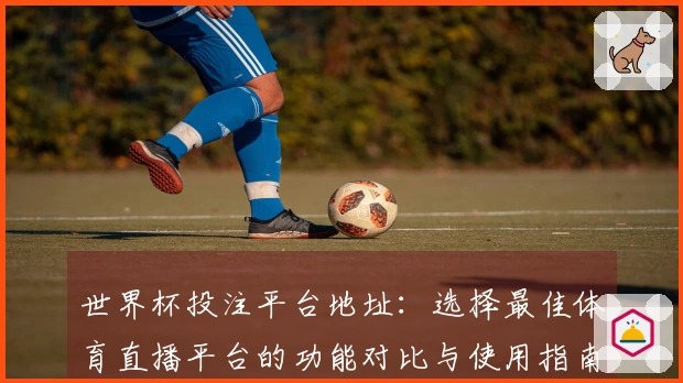 世界杯投注平台地址：选择最佳体育直播平台的功能对比与使用指南