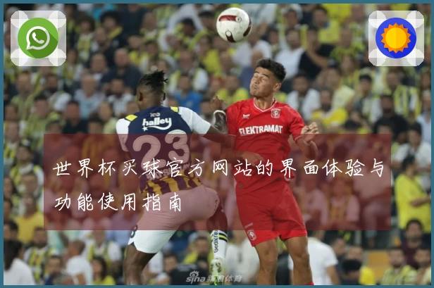 世界杯买球官方网站的界面体验与功能使用指南