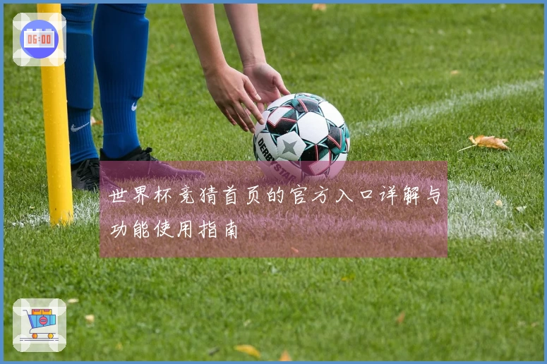 世界杯竞猜首页的官方入口详解与功能使用指南